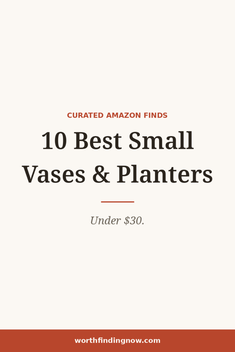 10 Best Amazon Small Vases & Planters Under $30 — WorthFindingNow